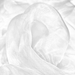 Organza