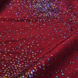 Licra lucida paillettes multicolores bordeaux