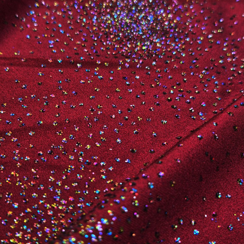 Licra lucida paillettes multicolores bordeaux