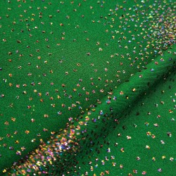 Licra lucida paillettes multicolores verde