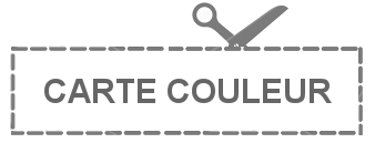 Gamme couleur de la résille plumetis