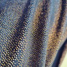 I ❤️ TESSUTI | Velluto glitterato marino