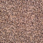 lycra estampado leopardo